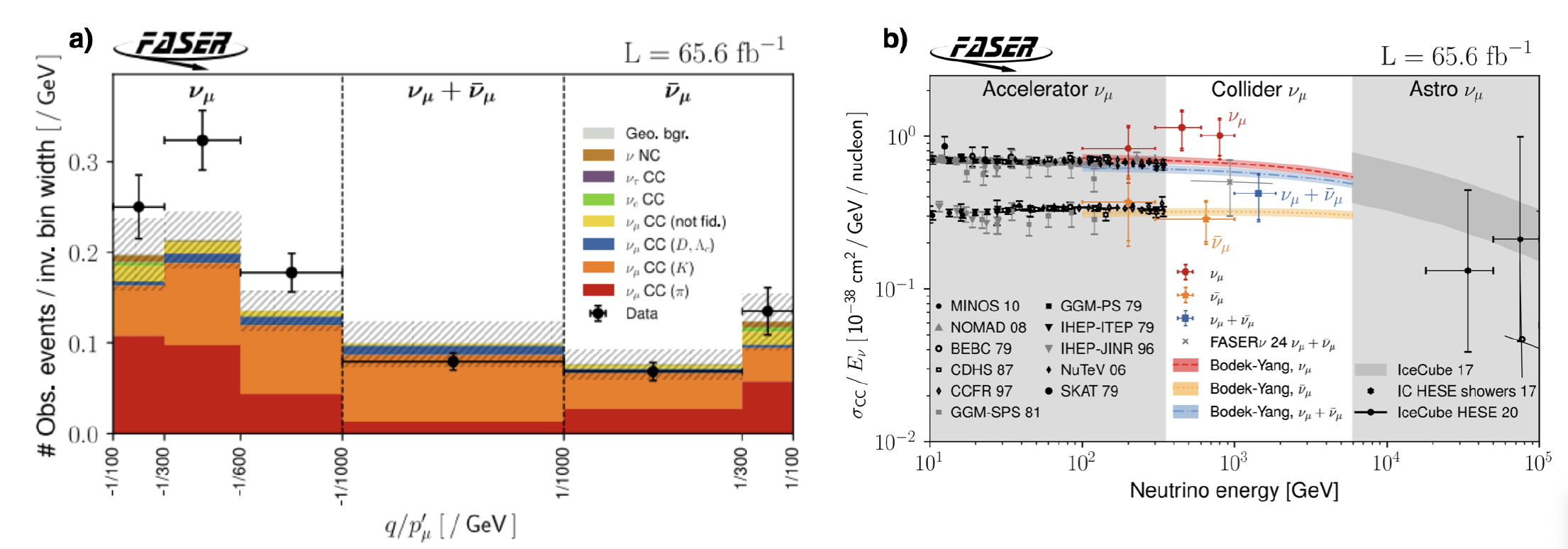 neutrinos colliders EP newsletter